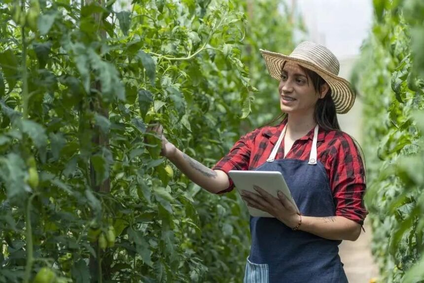 BID Invest invierte 13,9 millones de euros en un fondo sostenible para seguridad alimentaria en Latinoamérica
