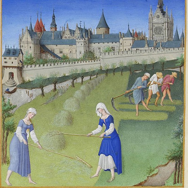 557px Les Très Riches Heures du duc de Berry juin