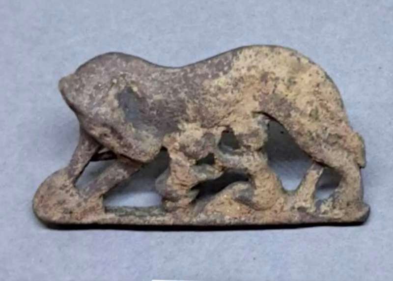 Imagen del broche de plata encontrado en el yacimiento de Hostalot-Idlum antes de ser restaurado.