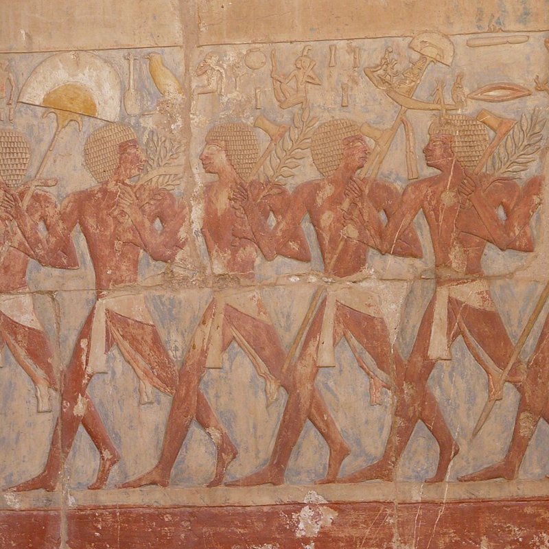 Punt  Relieve templo Hatshepsut 6