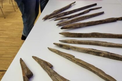 Algunas de las estacas de madera recuperadas por los arqueólogos en un campamento romano.