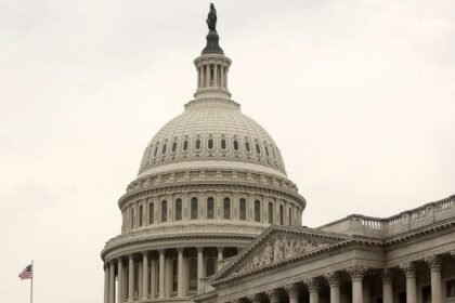 El uso del español se extiende hasta la política americana: ya lo usan el 50% de senadores y el 25% de representantes