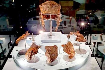 cataste di tegole e mteriale demolito dall'oecus in secondo stile Regio IX