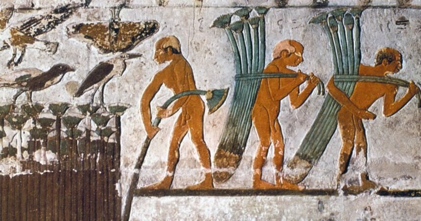 Sandalias, probablemente del Reino Nuevo (1569-1081 a.C.), fabricadas en papiro. Museo de Arte del Condado de Los Ángeles.