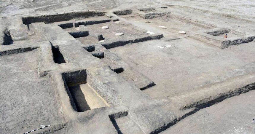 Imagen del papiro en el cual se ha podido leer las indicaciones para encontrar la tumba de Platón.