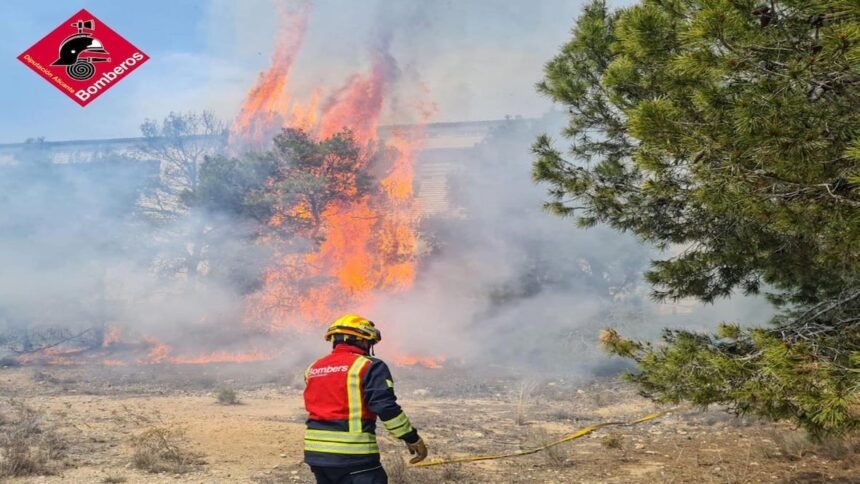 Estabilizado el incendio de Tárbena (Alicante) tras arrasar 690 hectáreas: los evacuados vuelven a casa