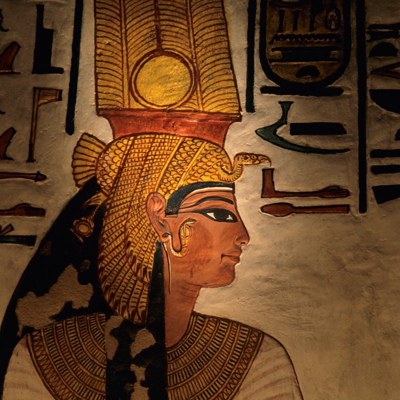 La reina en su sepu... 


Para continuar leyendo, visita el artículo en: <a href=