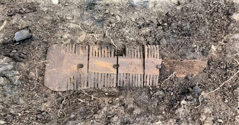 Peine elaborado en hueso encontrado durante las recientes excavaciones arqueológicas en Crowland.