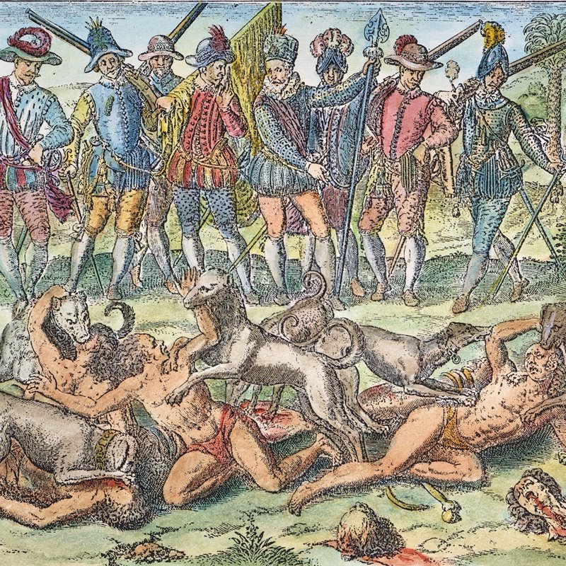 perro conquista america