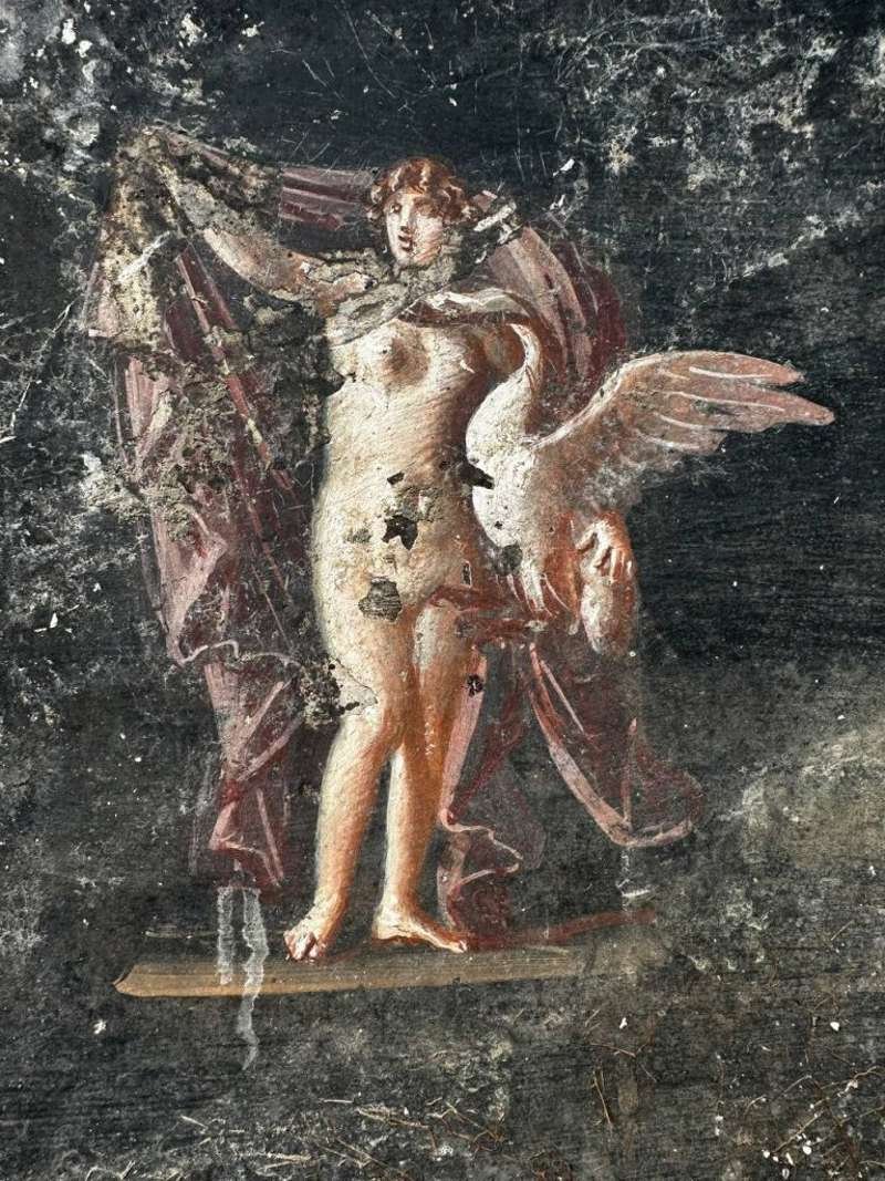 Una de las pinturas que acaban de ser descubiertas en la casa de la Regio IX de Pompeya representa el mito de Leda y el cisne.