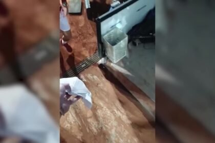 Djokovic recibe un botellazo tras su partido ante Moutet en Roma