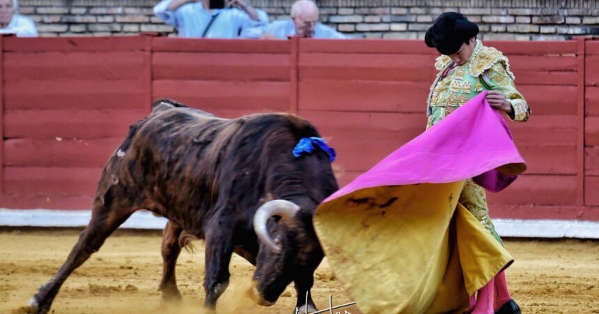 Tenemos un problema: las espadas