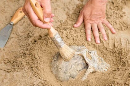 ¿Cómo se determina el sexo y edad de un esqueleto?