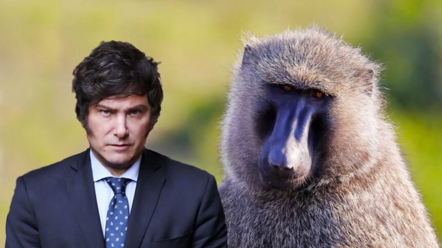 Javier Milei y la táctica del babuino de Anubis.