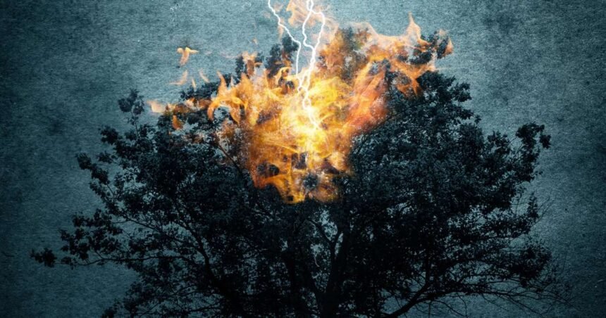 LIBROS bullipedia actualizada2