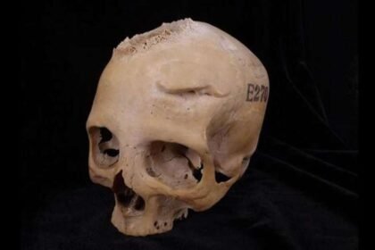 Detalle de uno de los grafitis realizados por un niño en el que puede verse a unos gladiadores luchando contra unos jabalís.