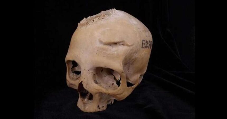 Detalle de uno de los grafitis realizados por un niño en el que puede verse a unos gladiadores luchando contra unos jabalís.