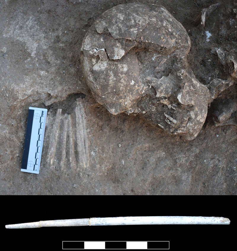 Detalle del enterramiento doble con los alfileres de hueso depositados junto a la cabeza del difunto.