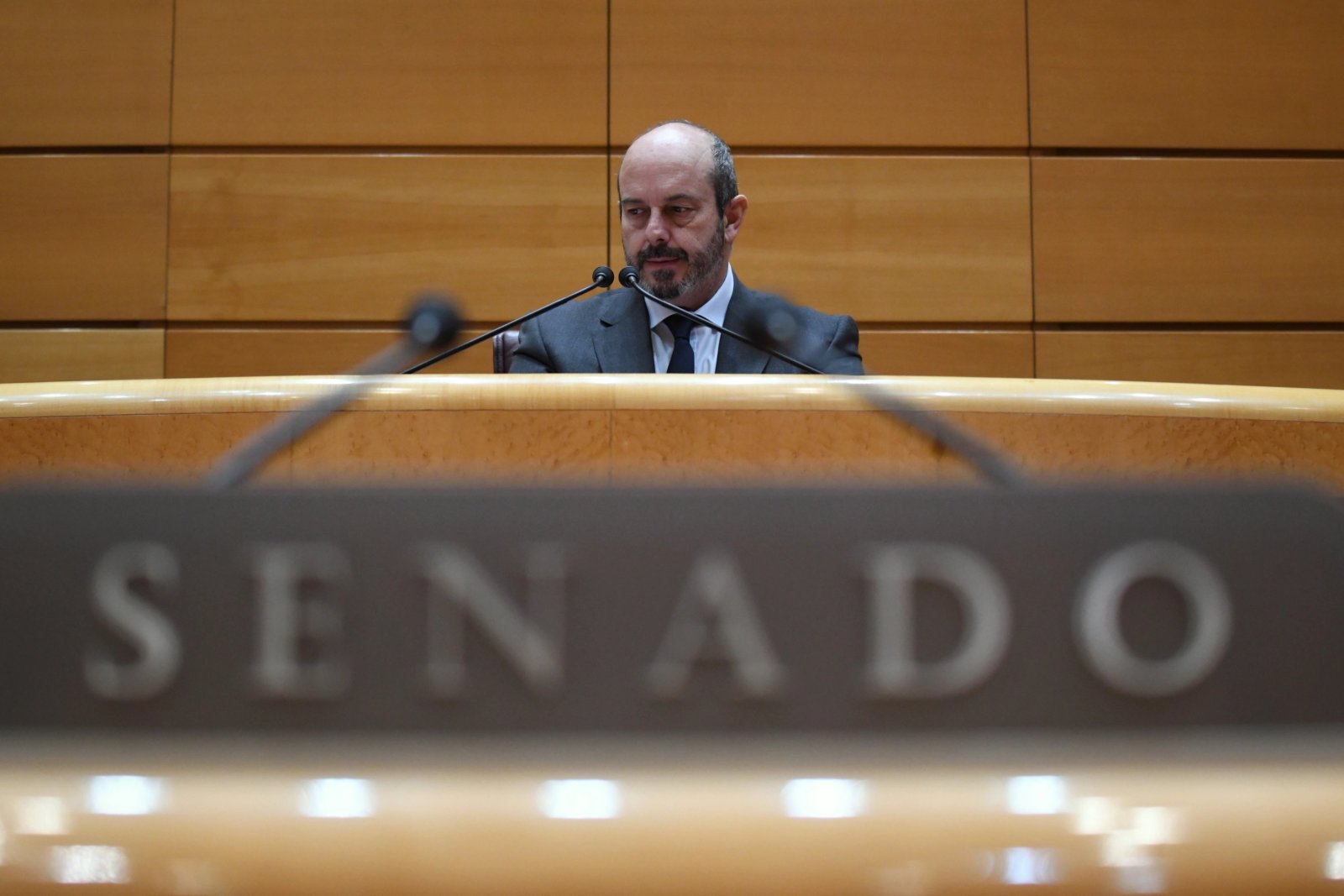 El presidente del Senado, Pedro Rollán.