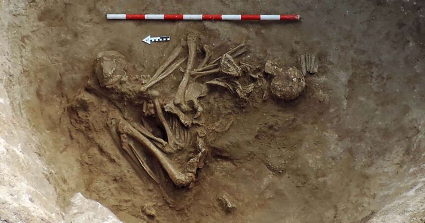 Panorámica de la Peña de los Enamorados, al fondo de la imagen, y, en primer término, la tumba descubierta en Peñas Blancas.