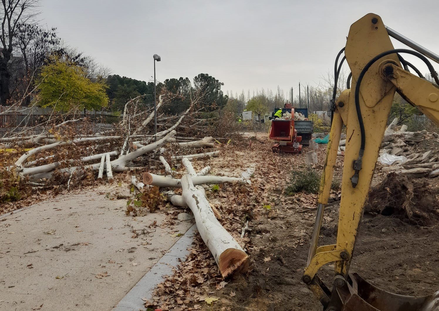Imagen tomada este martes por los vecinos en el parque de Madrid Río.
