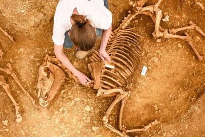 Ilustración que representa al dios lunar Thot. Léon Jean Joseph Dubois. Siglo XIX. Brooklyn Museum Libraries.