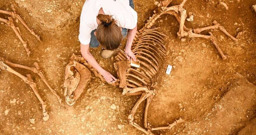 Ilustración que representa al dios lunar Thot. Léon Jean Joseph Dubois. Siglo XIX. Brooklyn Museum Libraries.