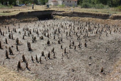 Además de los tres búnkeres encontraron 15 estructuras más bajo el parque natural protegido.