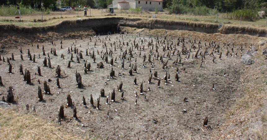 Además de los tres búnkeres encontraron 15 estructuras más bajo el parque natural protegido.