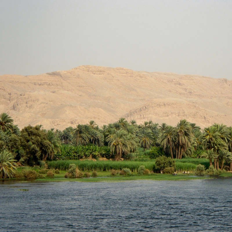 Paisaje nilótico a la altura de Luxor, en el Alto Egipto. Al fondo, el desierto.