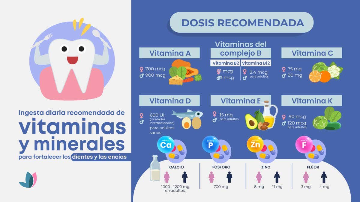 Infografía sobre la ingesta diaria recomendada de vitaminas y minerales para fortalecer los dientes y las encías