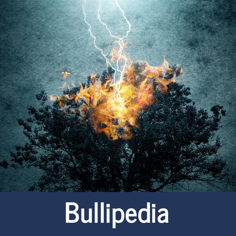 CUADRADO Bullipedia 3