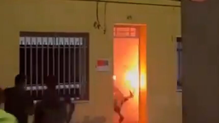 Un toro embolado siembra el pánico en Les Alqueríes (Castellón) tras colarse en el interior de una casa