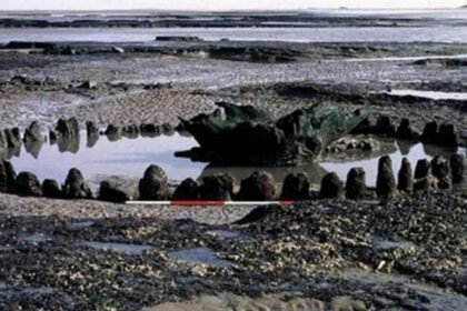 Castro del Río (Feranza)