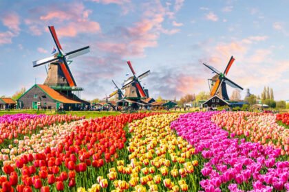 The Stock Exchange in Amsterdam (SM 536)