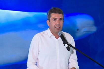 Miranda y Plombir: la increíble historia de dos belugas que vivirán en el Oceanogràfic de Valencia