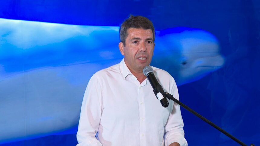 Miranda y Plombir: la increíble historia de dos belugas que vivirán en el Oceanogràfic de Valencia