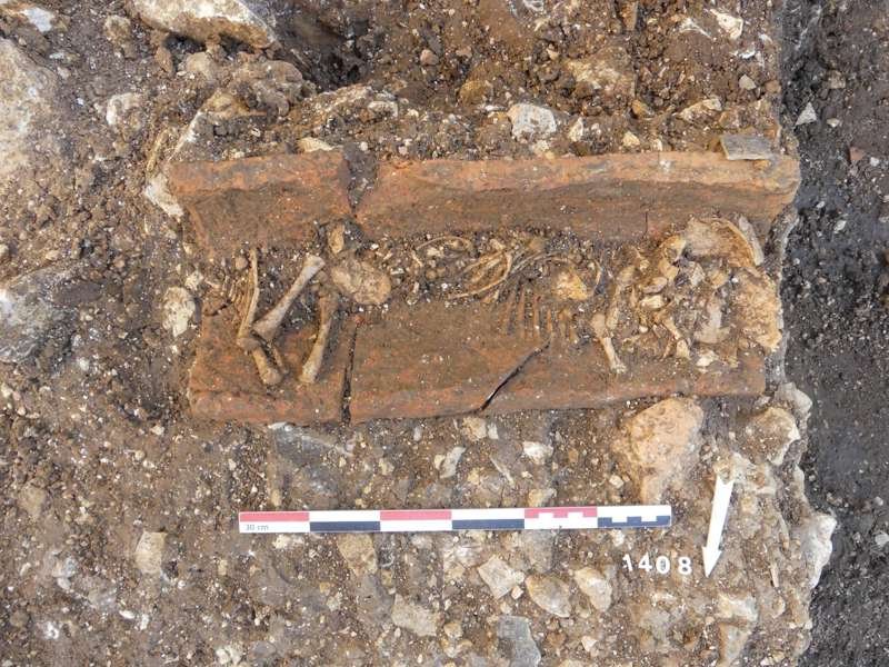 Restos óseos de un recién nacido enterrado en el interior de una teja.