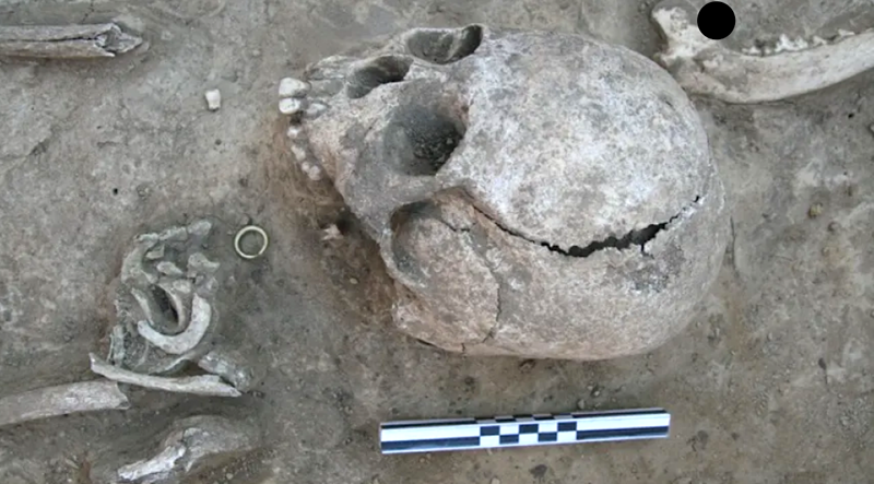 Restos óseos pertenecientes al niño huno, junto a un arete de oro.