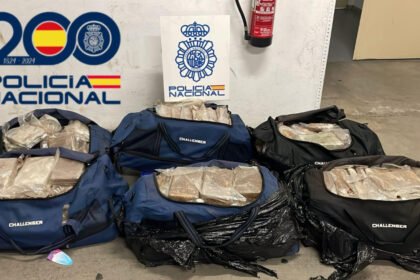 Golpe al narcotráfico: aguardaban aguacates de Perú y hallaron 300 kilogramos de cocaína