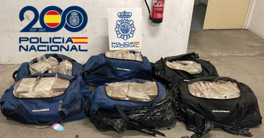 Golpe al narcotráfico: aguardaban aguacates de Perú y hallaron 300 kilogramos de cocaína